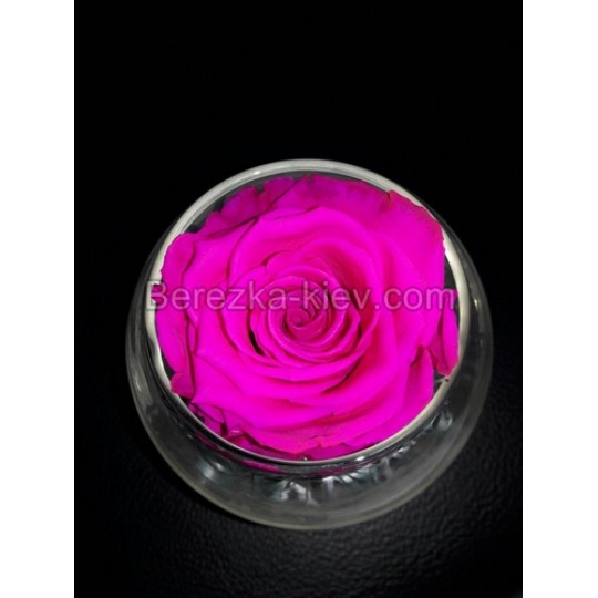 Стабилизированная роза в вазе (розовая)
